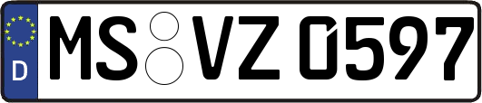 MS-VZ0597