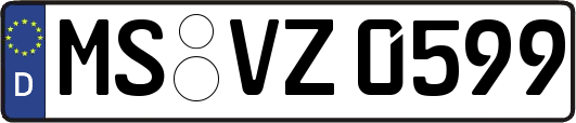 MS-VZ0599