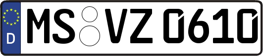 MS-VZ0610