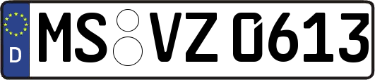 MS-VZ0613