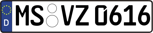 MS-VZ0616