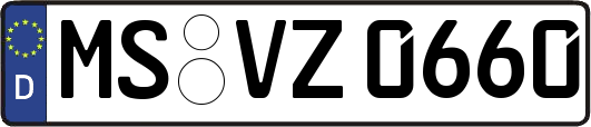 MS-VZ0660