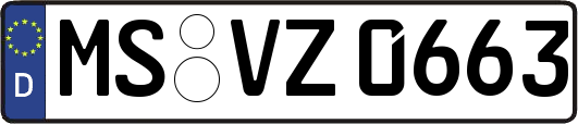 MS-VZ0663