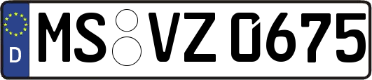 MS-VZ0675