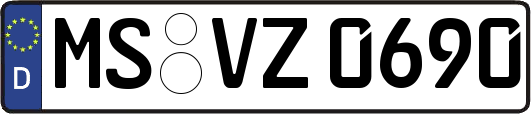 MS-VZ0690