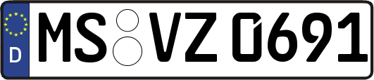 MS-VZ0691
