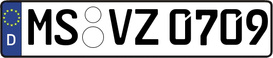MS-VZ0709