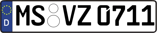 MS-VZ0711