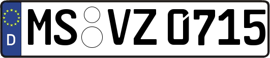 MS-VZ0715