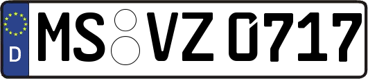 MS-VZ0717