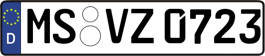 MS-VZ0723