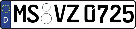 MS-VZ0725