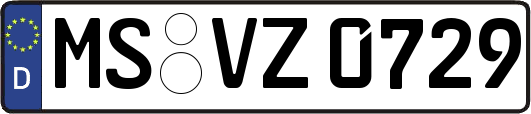 MS-VZ0729