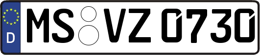 MS-VZ0730