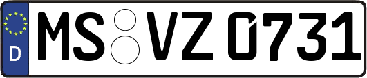 MS-VZ0731