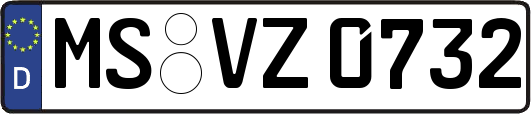 MS-VZ0732