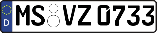 MS-VZ0733