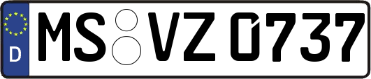 MS-VZ0737