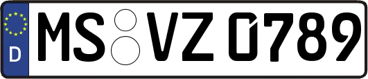 MS-VZ0789