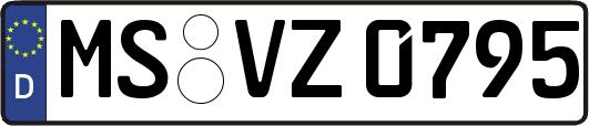 MS-VZ0795