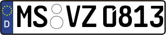 MS-VZ0813