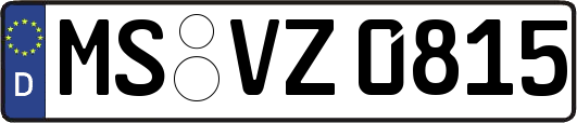 MS-VZ0815