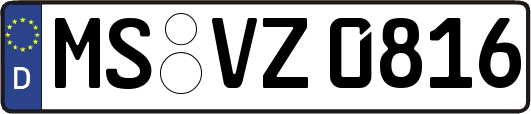 MS-VZ0816