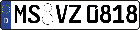 MS-VZ0818