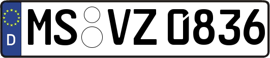 MS-VZ0836