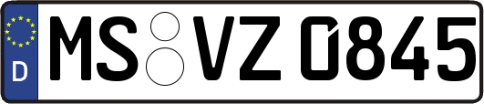 MS-VZ0845