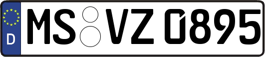 MS-VZ0895