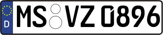 MS-VZ0896