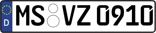 MS-VZ0910