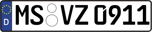 MS-VZ0911