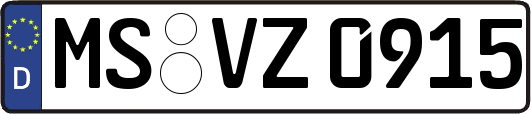 MS-VZ0915
