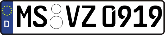 MS-VZ0919