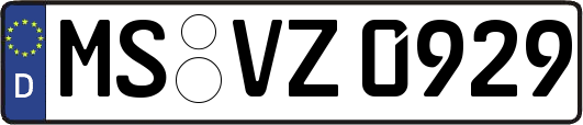 MS-VZ0929
