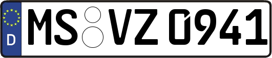 MS-VZ0941
