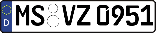 MS-VZ0951