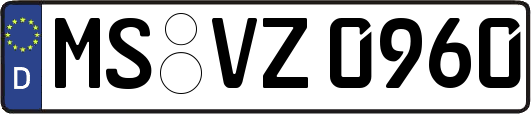 MS-VZ0960