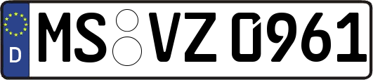 MS-VZ0961