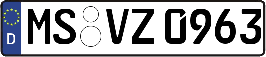 MS-VZ0963