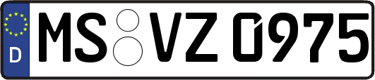 MS-VZ0975