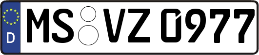 MS-VZ0977