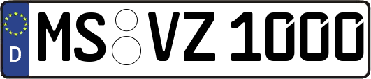MS-VZ1000