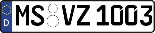 MS-VZ1003