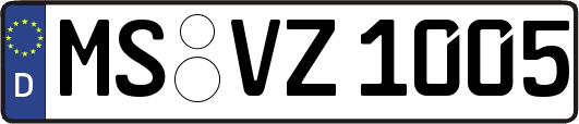 MS-VZ1005