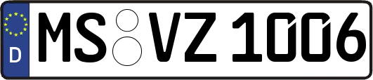 MS-VZ1006