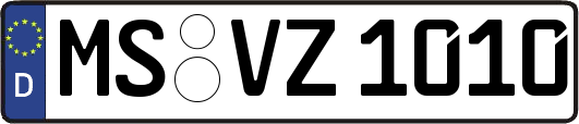 MS-VZ1010