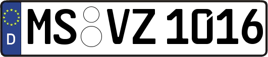 MS-VZ1016